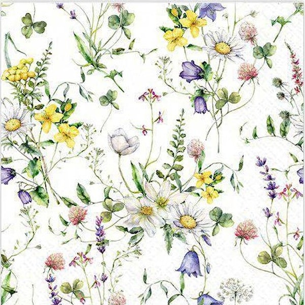 Matservietter Engblomst 20-pack Gullers