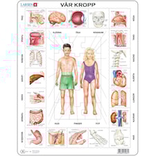 Pussel 35 bitar, Vår kropp