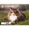 Väggkalender Katter 2026 Almanacksförlaget