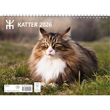Väggkalender Katter 2026 Almanacksförlaget