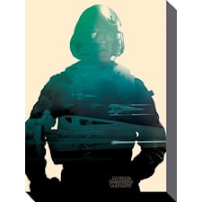 Star Wars Canvas Poe 60 x 80 cm