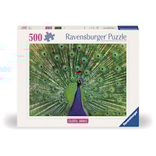 Peacock 500p Ravensburger