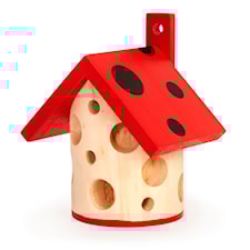 Ladybug House, Kikkerland