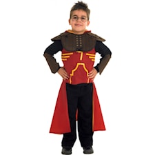 HARRY POTTER QUIDDITICH-DRÄKT BARN (Medium)