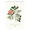 Väggkalender Växter 2026