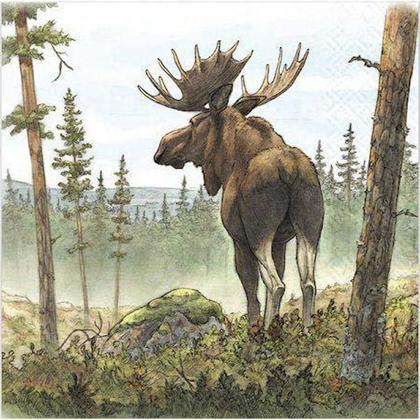 Matservietter tegnet Elg 20-pack Gullers
