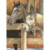 Måla Efter Nummer Royal & Langnickel Hästar 21x28 cm