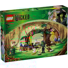 LEGO® Wicked (75687)