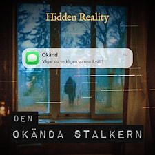 Den okända stalkern, Hidden Reality
