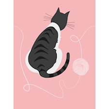 Kissa Juliste Lanka 21x30cm