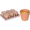 Ljus i Terrakotta Kruka 6-pack