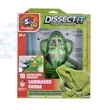 Dissect It Groda Experimentset