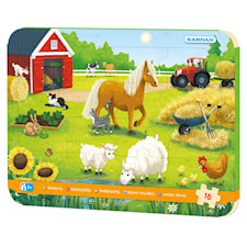 Kehyspalapeli Maatilalla 16 palaa, Kärnan