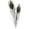 Påfågelfjädrar 25-30 cm 10-pack