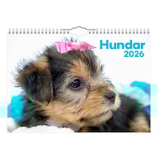 Väggkalender Hundar Small 2026