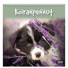 Seinäkalenteri 2021 Koiranpennut Burde