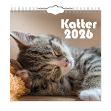 Väggkalender Katter Mini 2026