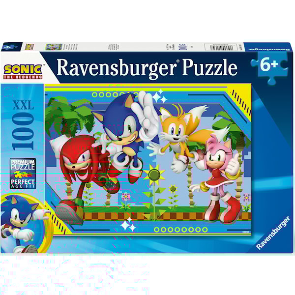 Sonic The Hedgehog 100pc
