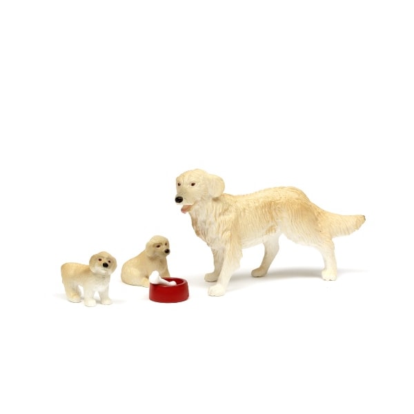 Småland hundefamilie, Lundby
