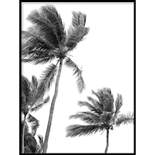 Saint Francois Poster50x70cm