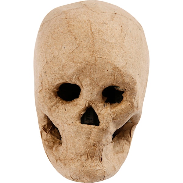 Kranium, H: 10 cm, 1 stk.