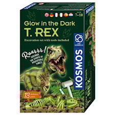 Glow in the Dark T-Rex Kosmos
