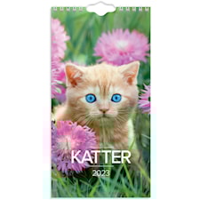 Väggkalender 2023 Liten Kattkalender Burde
