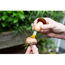 Mushroom Tool Keychain; Kikkerland