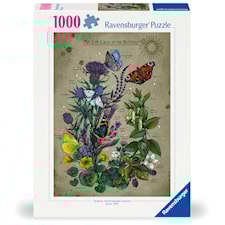 Lifecircle Butterfly Palapeli 1000 palaa, Ravensburger