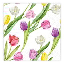 Matservetter Tulpaner mixade 20-pack Ivars i Lanna