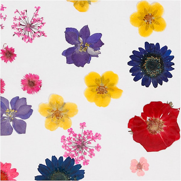 Tørkede blomster og blad, ass. farger, 1 pk.