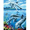 Royal & Langnickel Delfiinit - Maalaa numerojen mukaan, 33,1 x 24,1 cm