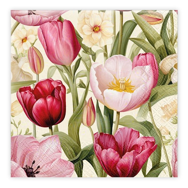 Middagservietter 20p Tulipan Ivars i Lanna