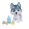 Pamper Petz Husky