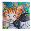 Crystal Art Kit Craft Buddy Sleepy Cats Canvas 30x30 cm