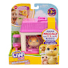 Mama Surprise Minis Hamsteri Little Live Pets