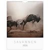 Väggkalender 2026 Savannen 295x390 mm Burde