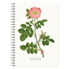 Anteckningsbok A5 Luktnypon Linjerad 50 sidor Gullers