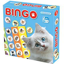 Bingo Katter, Kärnan (SE)