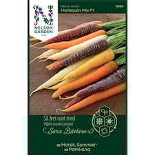 Morot, Sommar-, Harlequin Mix F1