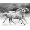 Royal & Langnickel Sketching Made Easy Hästar 24,1x33 cm