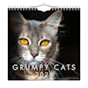 Väggkalender Grumpy Cats Mini 2026