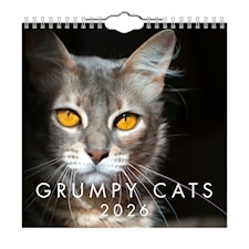 Väggkalender Grumpy Cats Mini 2026