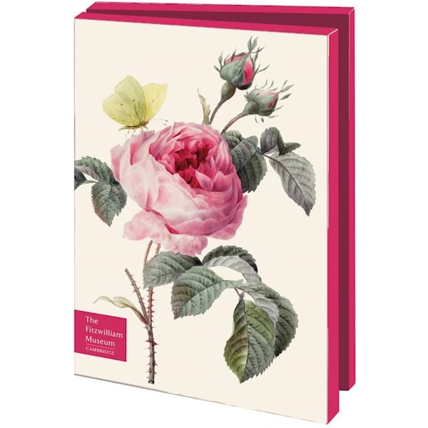 Vykort Dobbelt med konvolutt Roser i blomst 10-pack Bekking & Blitz