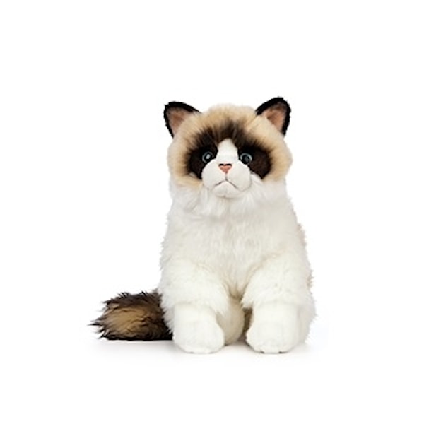 Ragdollkatt 25 cm Living Nature