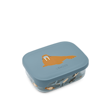 Arthur Tritan Eväsrasia Arctic Sea / Ocean view