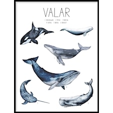 Valar Poster50x70cm