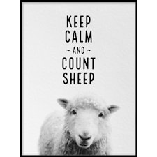 Count sheep white Poster50x70cm