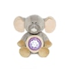 Diinglisar Wild Nattlampa, Elefant, Teddykompaniet