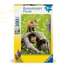 Palapelit Curious Foxes 300 XXL palaa, Ravensburger
